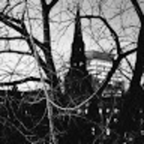 Meet your Posher, Liz - Picture 1 of 1